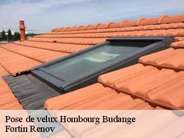 Pose de velux  hombourg-budange-57920 Fortin Renov
