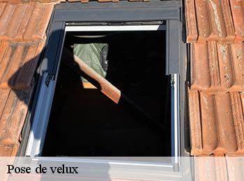 Pose de velux  57410