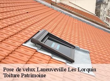 Pose de velux