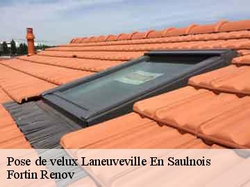 Pose de velux laneuveville-en-saulnois-57590 Fortin Renov