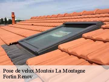 Pose de velux montois-la-montagne-57860 Fortin Renov