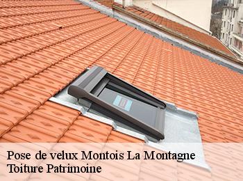 Pose de velux