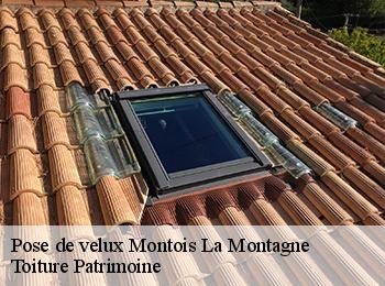 Pose de velux  montois-la-montagne-57860 Toiture Patrimoine