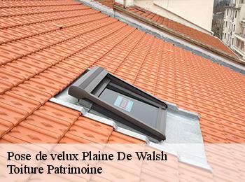 Pose de velux