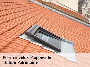 Pose de velux