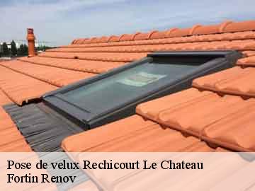 Pose de velux rechicourt-le-chateau-57810 Fortin Renov