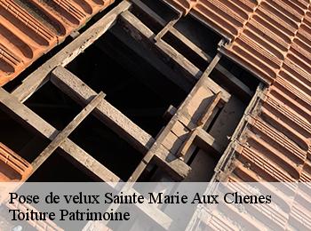 Pose de velux 57118
