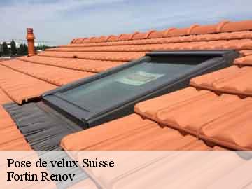 Pose de velux suisse-57340 Fortin Renov