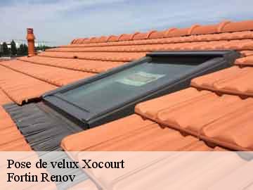 Pose de velux xocourt-57590 Fortin Renov