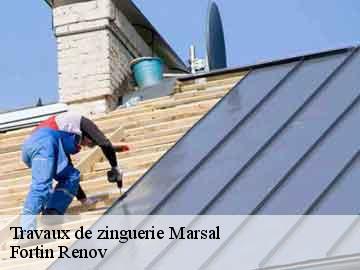 Travaux de zinguerie marsal-57630 Fortin Renov