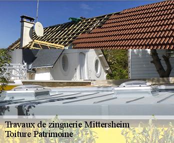 Travaux de zinguerie 57930