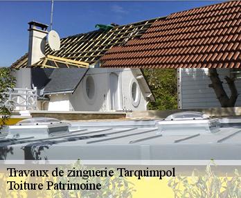 Travaux de zinguerie 57260