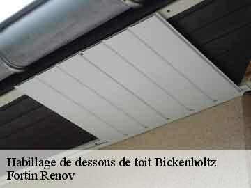 Habillage de dessous de toit bickenholtz-57370 Fortin Renov