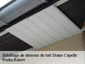 Habillage de dessous de toit diane-capelle-57830 Fortin Renov