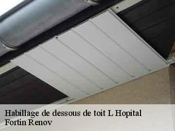 Habillage de dessous de toit l-hopital-57490 Fortin Renov