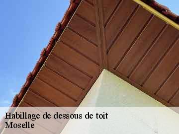 Habillage de dessous de toit